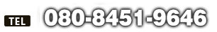 070-3991-4933